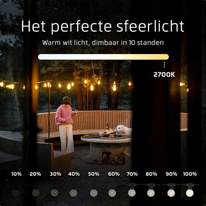 Lichtsnoer met Afstandsbediening